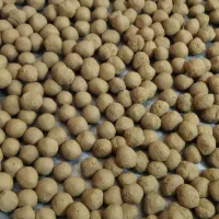 گلک