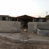 فروش زمین و دامداری بصورت چکی