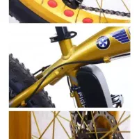 دوچرخه برقی حرفه ای زیر قیمت|دوچرخه، اسکیت، اسکوتر|گرمدره, |دیوار