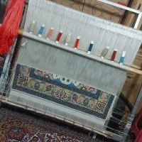 دار قالی نیمه بافت چله ابریشم قالیچه و تابلو فرش|فرش|مشهد, کوشش|دیوار