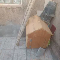 خانه مخصوص سگ