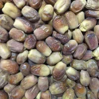 خرما درجه یک|خوردنی و آشامیدنی|تربت جام, جامرود|دیوار
