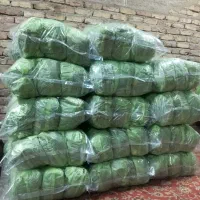 زغال خودسوز و ساده