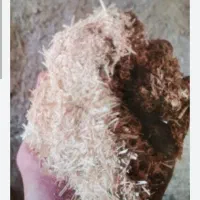 کاه لوبیا چیتی ۱۵۰۰ من هر من ۱۲۰ تومان