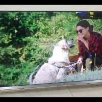 تلویزیون LED با وضوح 4K مارک TCL مدل 50P8S