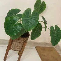 گلدان با برگ مصنوعی