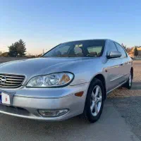 ماکسیما در حد خشک