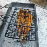 ماهی سالمون تازه تازه