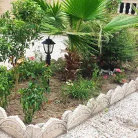 علف زنی،سمپاشی،برش درخت،درختکاری ،خدمات باغبانی|خدمات باغبانی و درختکاری|رودسر, |دیوار