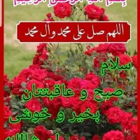 شناسنامه گمشده بنام امیرمهدی حیدری
