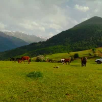 زمین-فروشی