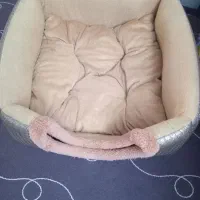 جای خواب پت