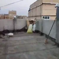 فروش آپارتمان ۵۵ متری|فروش آپارتمان|مشهد, شهرک بهارستان|دیوار