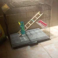 قفس خیلی بزرگ در حد نو برا عروس هلندی