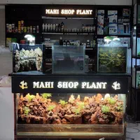 اکواریوم ماهی شاپ|ماهی|اسلامشهر, شهرک واوان|دیوار