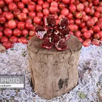 چهارالی پنج تن اناررباب درجه یک به صورت کلی وجزئی