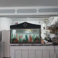 آکواریوم درجه یک