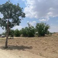فروش زمین باغی بعد از اردوگاه امام خمینی|فروش زمین و ملک کلنگی|خمین, |دیوار