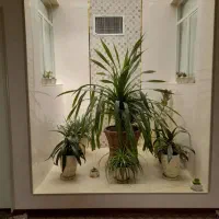 اجاره خانه ویلایی دربست مهاجران|اجارهٔ خانه و ویلا|مهاجران, |دیوار