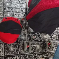 کالسکه و کریر|کالسکه و لوازم جانبی|شیراز, بید زرد|دیوار