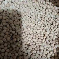 حبوبات شامل نخود ،عدس،لوبیا چیتی ،لوبیا قرمز،لپه