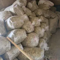 علوفه ایرانشهر