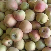 سیب|خوردنی و آشامیدنی|مشهد, كنويست|دیوار