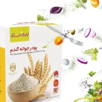 پودر جوانه گندم