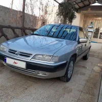 زانتیا بدون رنگ
