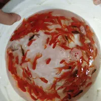 ماهی قرمز|ماهی|کیار, |دیوار