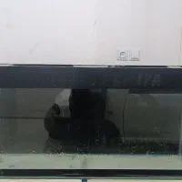 اکواریوم|لوازم جانبی حیوانات|میاندوآب, |دیوار