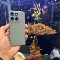 موتورولاege 60 pro