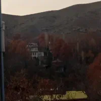 راهنمایی آشپزی