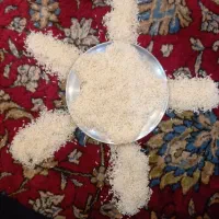 فروش برنج هاشمی|عمده‌فروشی|رشت, کوی حسینی|دیوار