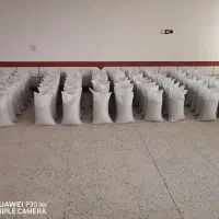 بذریونجه|خدمات باغبانی و درختکاری|شیراز, فخرآباد (دروازه کازرون)|دیوار