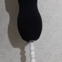 مانکن سوزن خور