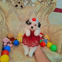 کار و استخدام