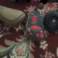 عروس هلندی کوتوله مرغ عشق|پرنده|مشهد, سپاد|دیوار