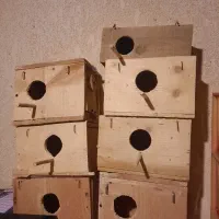 قفس بزرگ جوجه پران ولوازم جانبی و لانه