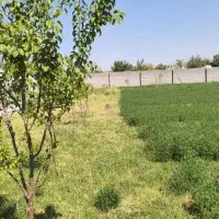 باغ ویلایی در کوی پارادایس بارانلو|فروش خانه و ویلا|خسروشاه, |دیوار