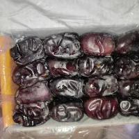 فروش خرمای مضافتی