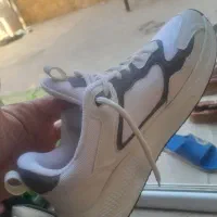 کتونی نو