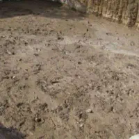 اجرای کار آهک|خدمات پیشه و مهارت|سنندج, |دیوار