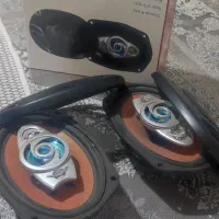 باند ساووی در حد