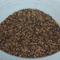 کنجد|خوردنی و آشامیدنی|چگنی, |دیوار