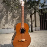 گیتار بنبرگ ۵۴۲