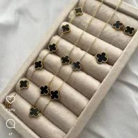 بدلیجات|بدلیجات|دوگنبدان, |دیوار