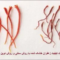 ورکشاپ رایگان فریزدرایر(خشک کردن مواد غذایی)|گردهمایی و همایش|شیراز, کرونی(خاتونک)|دیوار