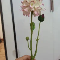 وسایل دکور|مجسمه، تندیس، ماکت|بوشهر, |دیوار