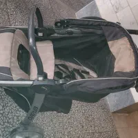 کلاسکه چیکو همراه کریر